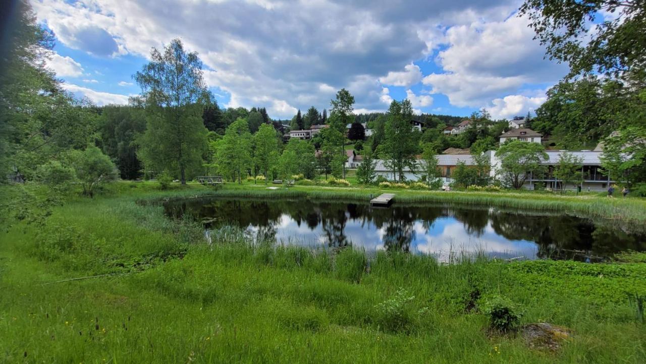Ferienwohnung Grenzenblick Bayerisch Eisenstein Exteriér fotografie